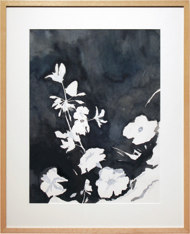 Glenn Sorensen Petunia, 2011; watercolour on paper; 49.5 x 40.5 cm; enquire