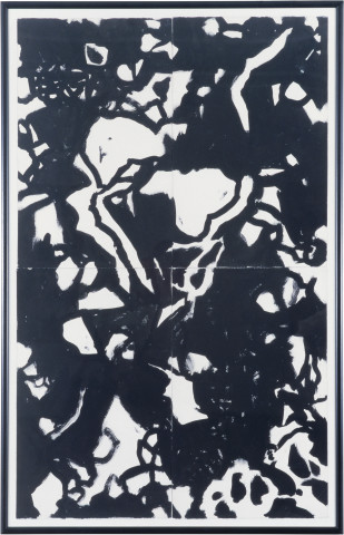 David Aspden Mangroves, 1985; ink on paper; enquire