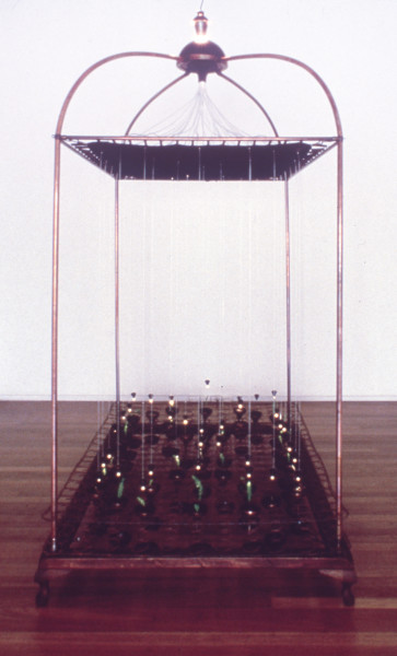 Sprung, 1990; wood, fibre optics, brass plumb bobs, water, haologen light, fishbone ferns; 200 x 300 x 150 cm