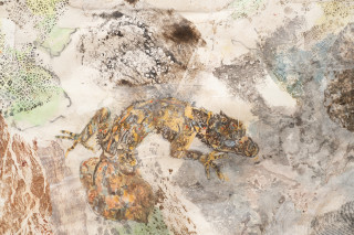 John Wolseley Mimesis - Leaf-tailed geckos on bark, moss and lichen I (detail), 2025; watercolour, graphite, charcoal, frottage and nature prints on paper; 80 x 200 cm; 97 x 221 cm (framed); enquire