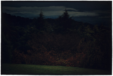 Bill Henson Untitled #12, 2007-08; CL SH600 N6; type C photograph; 127 x 180 cm; Edition of 5 + AP 2; enquire