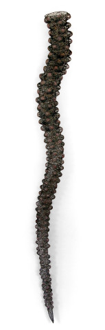 Bronwyn Oliver Tentacle, 2005; copper; 185 x 20 x 20 cm; enquire