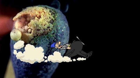 TV Moore Tripasso in Wackyland, 2014; video animation with sound; 8.30 min duration; Edition of 3 + AP 1; enquire