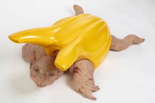 Patricia Piccinini Cleaner, 2019; fibreglass, auto paint, silicone, human hair; 30 x 70 x 90 cm; Edition of 3 + 1 AP; enquire