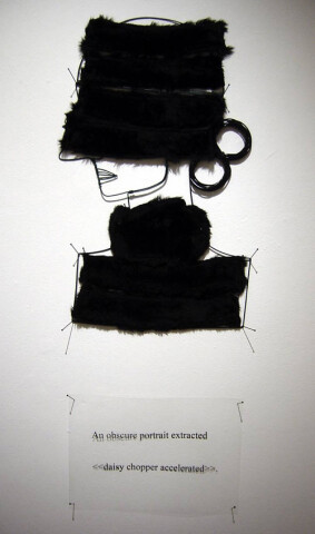 Jacqueline Fraser An obscure portrait extracted >, 2003; from the series AN ELEGANT PORTRAIT REFINED IN ELEVEN STUDIOUS PARTS >; wire, faux fur from Chelsea, N.Y; 85 x 35 cm; enquire