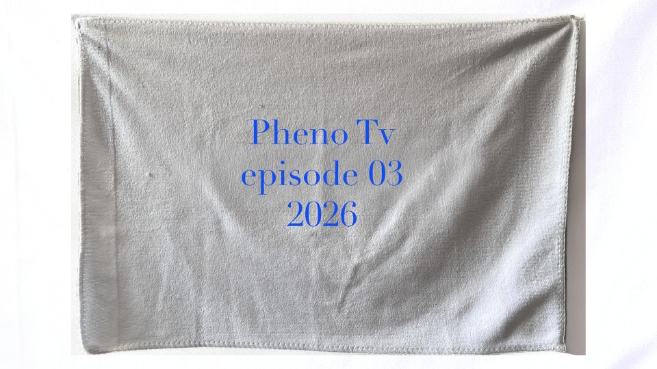 A Constructed World Pheno Tv Episode 03, 2026; single channel video; 13 minutes 5 seconds; enquire