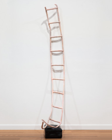 Caroline Rothwell Ladder, 2022; canvas, hystrostone, steel, encaustic beeswax, bioresin, false nails; 259 x 50 x 110 cm; more info; enquire