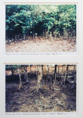 Destiny Deacon Postcard from Bloomfield River (1) (2), 1998; 2 colour laser prints; 21 x 29.7 cm; Edition of 15; enquire