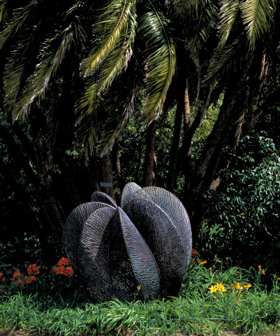 Bronwyn Oliver Palm, 1999; Copper; 190 x 180 x 180 cm; enquire