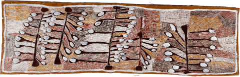 Nyapanyapa Yunupiŋu Wild Apple Orchard, 2008; natural earth pigments on bark; 63 x 193 cm; enquire