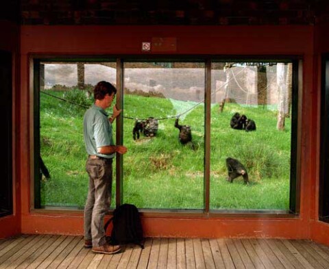 Anne Zahalka Zoo, 1998; type C photograph; 115 x 145 cm; Edition of 12; enquire