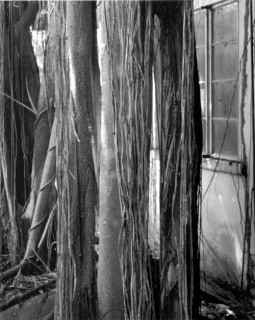 Simryn Gill #12, 1996-98; Silver gelatin photograph; 120 x 95 cm; Set of 16 images, edition of 15; Edition of 15; enquire