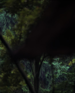 Bill Henson Untitled #18, 1976-2016; from the series Kindertotenlieder; archival inkjet pigment print; 69 x 60 cm; Edition of 10; enquire