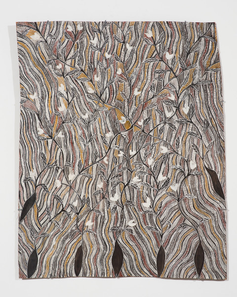 Ganguri, 2023, 3546-23, earth pigments on Stringybark, 101 x 81 cm