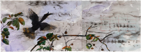 John Wolseley Rhinoceros Hornbill with its sonogram, 2009; watercolour on paper; 35.5 x 97 cm; enquire