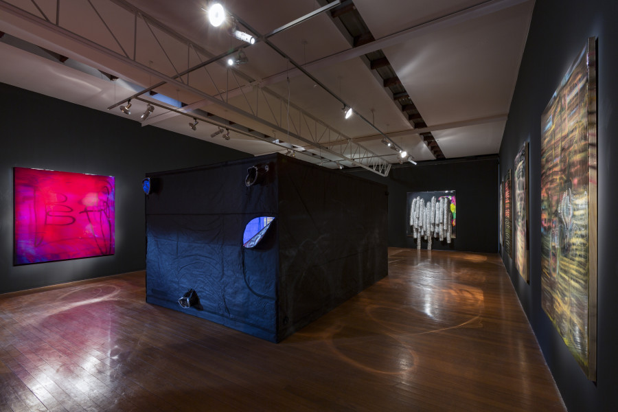 Exhibition view, Dale Frank, Roslyn Oxley9 Gallery (9 July – 11 August 2018)