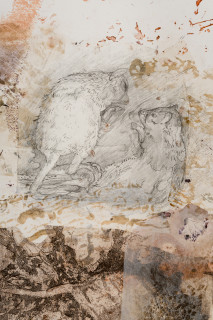 John Wolseley Burrowing Bettongs  - Newhaven Wildlife Sanctuary (detail), 2025-26; graphite, etching and woodblock prints on paper; 72 x 83 cm; 93 x 106 cm (framed); enquire