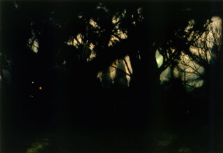 Bill Henson Untitled #87, 1998; CL SH 247 N19; Type C photograph; 104 x 154 cm; 127 x 180 cm (paper size); Edition of 5 + AP 2; enquire
