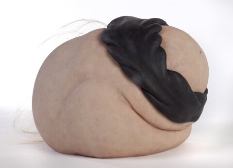 Patricia Piccinini Tyre Lion Infant, 2018; Silicone, hair; 20 x 29 x 19 cm; Edition of 6 + AP 2; enquire