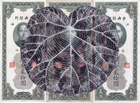 Fiona Hall Leaf Litter (detail), 2000-02; gouache on banknotes; dimensions variable; enquire