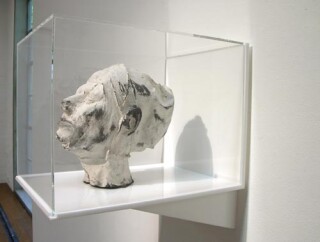 Julie Rrap Eraser Head 1, 2006; silicon rubber, silica flour and graphite mounted in Perspex box; sculpture: 21 x 15 x 25 cm; box: 30 x 30 x 40 cm; enquire