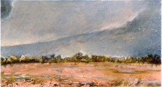 Mandy Martin Little Claypan on Fence of Woorooka and Toogoola Down Near 7 Mile, 1997; oil, ochre, pigment on linen; 56 x 30 cm; enquire