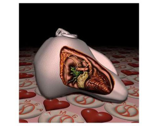 Patricia Piccinini RSL, 1995; from the series Love Me Love My Lump; Type C colour photograph; 130 x 130 cm; Edition of 6; enquire