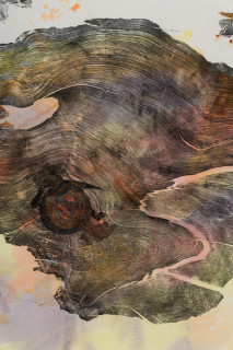 John Wolseley Great desert skinks on their basking mound in the Great
Sandy desert I (detail), 2026; watercolour and woodblock print on paper; 104 x 180 cm; 121 x 195 cm (framed); enquire