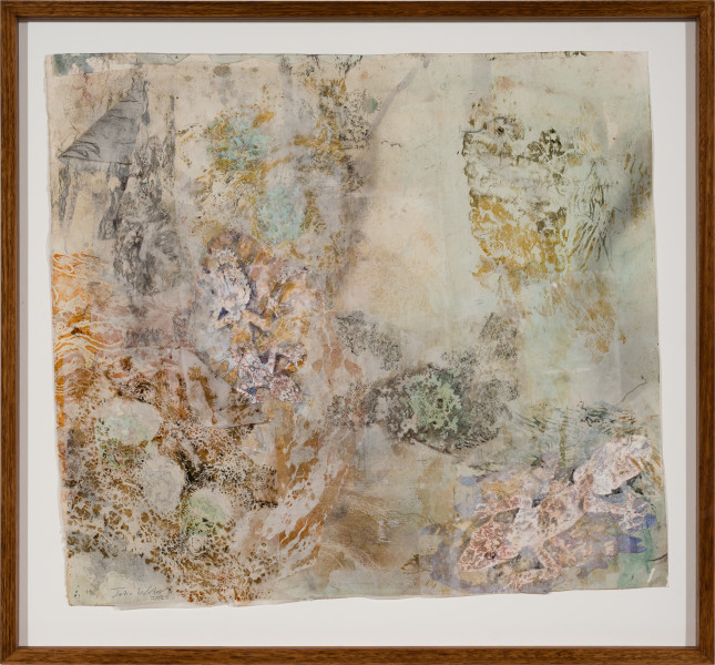 John Wolseley Cryptic mimicry of the Moritz's leaf-tailed gecko, 2024; watercolour, graphite, frottage and woodblock prints on Gampi and Arches paper; 77 x 86 cm; 94 x 101 cm (framed); enquire