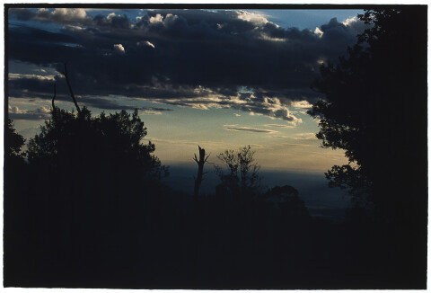 Bill Henson Untitled #20, 2007-08; CL SH589 N31; type C photograph; 127 x 180 cm; Edition of 5 + AP 2; enquire