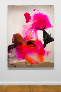 installation view; Dale Frank He was not lonely at all, daily surviving on prescribed marijana gummies, muscle supplements, and spending more hours than he should at the Community Pool Gym mens change room, 2026; colour powder pigments in Epoxyglass, Epoxyglass, on perspex; 200 x 150 cm; enquire