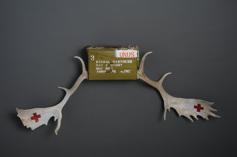 Fiona Hall Untitled, 2012; deer antlers, steel ammunition box, paint; 50 x 120 x 17 cm; enquire