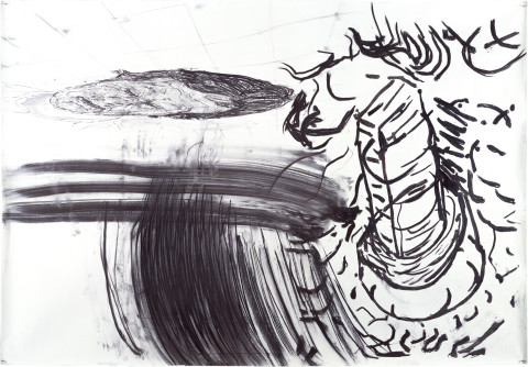 Mike Parr Clocal Corridor (O Vio Prote/ O Vio Proto/ O Vio Loto/ O The 'the') Self Portrait as a Pair or Self Portrait as a Pun, 1983; charcoal and graphite on photographic backdrop; 183 x 1097 cm; enquire