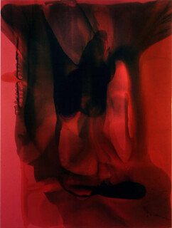 Dale Frank (Goodnight Scrub) View to Goodnight Scrub from Goodnight Scrub Road, Danny Boy Road, Gin Gin, 2003; varnish on acrylic on canvas; 260 x 200 cm; Enquire