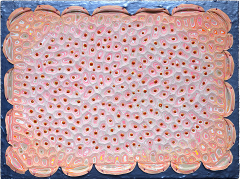 Rohan Wealleans Red Fly Struck, 2010; House paint on board; 84 x 112 cm; enquire