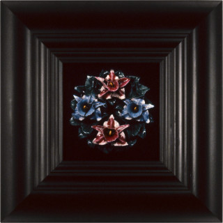 Anne MacDonald Above and Below the Grave (E), 1990; Type C colour photograph; 31 x 31 cm; enquire