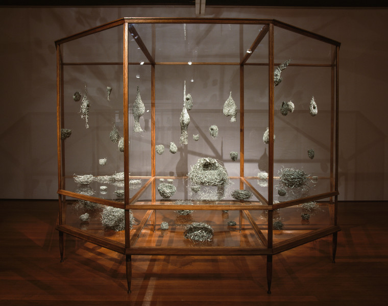 Fiona Hall Tender, 2003-05; US dollars, wire, vitrines, vinyl lettering,; vitrine dimensions: 220 x 360 x 150cm; enquire