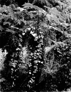 Simryn Gill #9, 1996-98; Silver gelatin photograph; 120 x 95 cm; Set of 16 images, edition of 15; Edition of 15; enquire