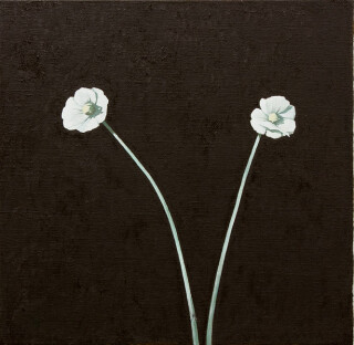 Glenn Sorensen Blind, 2012; oil on linen; 39 x 40 cm; enquire