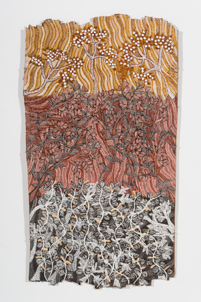Yalmakany Marawili Yams, vines and fruits, 2026; 2127-26; earth pigments on stringybark; 115 x 64 cm; enquire