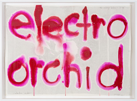 Del Kathryn Barton electro orchid, 2014; gouache and ink on hot pressed paper; 60.5 x 82 cm; enquire