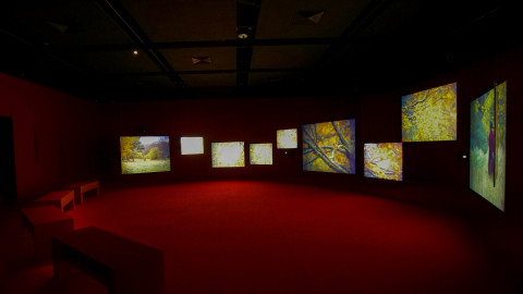 <p></p><p>Installation view, <i>Lessons of the Hour</i>, John Curtin Gallery, Perth, Photo: Brad Coleman</p>    <p></p>