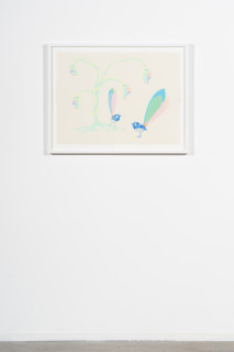 installation view; Patricia Piccinini Flamboyant Wrens, 2025; acrylic on paper; 56 x 76 cm; enquire