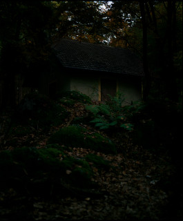Bill Henson Untitled #7, 1976-2016; from the series Kindertotenlieder; archival inkjet pigment print; 69 x 60 cm; Edition of 10; enquire