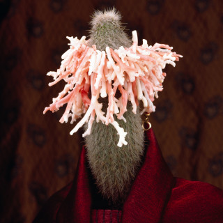 Paul Ferman Untitled (1N16), 1996; colour photograph; 127 x 102 cm; enquire