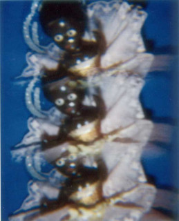 The Armory Show Destiny Deacon, 1993-03; from the series Waiting for Goddess; Light jet print from Polaroid original; Image size: 60 x 48 cm; Frame size: 75 x 62 cm; Series of 4 images; enquire