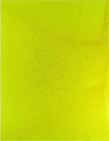 Dale Frank Weirdo Love, 2000; acrylic and countless male mosquitoes and assorted friends on linen; 260 x 200 cm; enquire