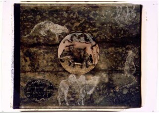 Fiona Hall Book VIII: Land Animals, 1991; Polaroid photograph; 53 x 68 cm; enquire