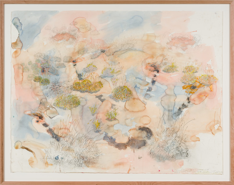 John Wolseley Great desert skink commune – basking mound, birthing pool and defecatorium, 2025; watercolour and graphite on paper; 118 x 154 cm; 134 x 169 cm (framed); enquire