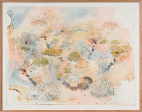 John Wolseley Great desert skink commune – basking mound, birthing pool and defecatorium, 2025; watercolour and graphite on paper; 118 x 154 cm; 134 x 169 cm (framed); enquire